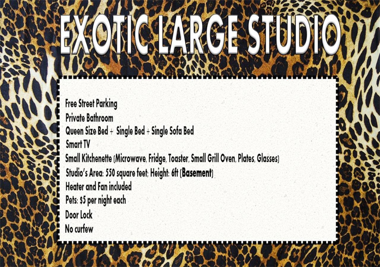 Exotic Large Basement Studio 호텔 몬트리올 외부 사진